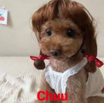 baobei