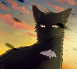 Warrior Cats Squad!