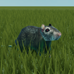 Survive the rats