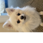 Please like this group