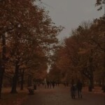 ⋆｡°✩🍂✩°｡⋆