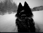 A dark group(by dark)