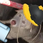 Sewer Interactive Group Thumbnail