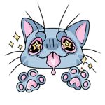 CATNIP NATION