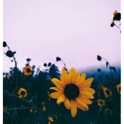 𝓶𝓸𝓻𝓮