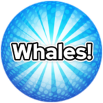 Whales!