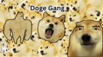 The doge gang ;3