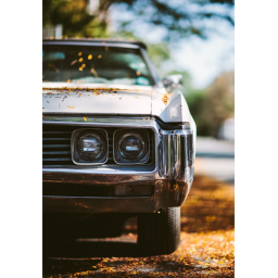 car game