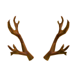 Xanwood Antlers
