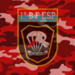 Batalhão de Forças Especiais [BFEsp].