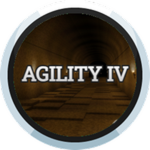 Agility IV