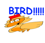 BIRDIES UGC