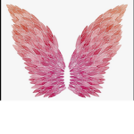 Angel group :) :)