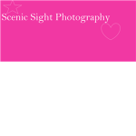 Scenic Sight Photography