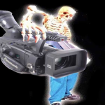 7xb