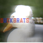 duck group.