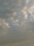 Cherrycupcake_3