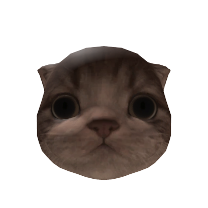 Little Kitten Head