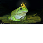 The Amphibian Kingdom