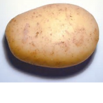 Worthy Potatoes