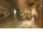 Sewer Grease