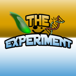The Experiment