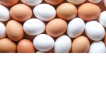 Eggs United! Once and for all!