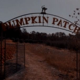 🎃