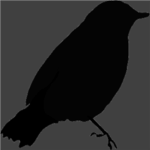 Black Bird Clothing®