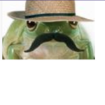 mustache_froggy