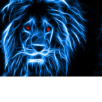 Los ############ y las ###########