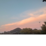 오늘도 씬난다 :)
