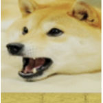 ₩@$₽$