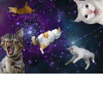 Galaxy Cats :))) and more..