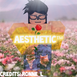 Aesthetic Dance Studio & Gymnastics Center