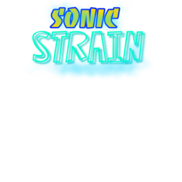 Sonic strain tutorial -Testing