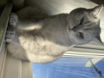 Catttttttttttttttttttttttttttttttttts