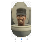 SKINIDI TOLIET CITY DEFENCE OFFICAL GROUP