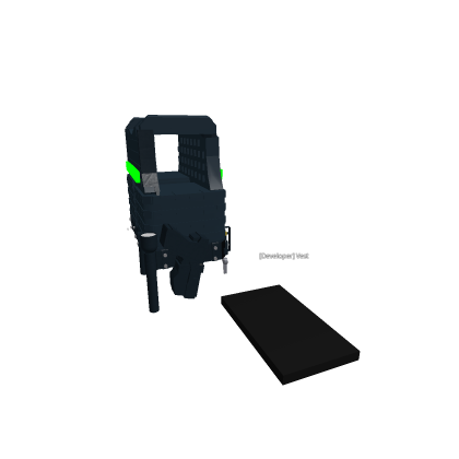 ############ personal Developer vest