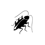 Cockroach underground society