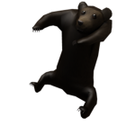 BUKWAS BEAR