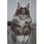 Kat~N~Critters