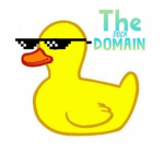 The Duck Domain