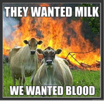 Creamy Cowies