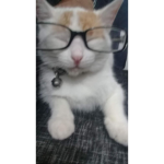SDLG PAPUWORLD :V