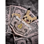#BAG CHASER$