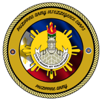PA | National Intelligence Corps
