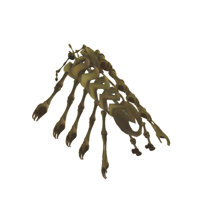 Founding Skelly (real size)