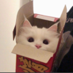 TollyJps