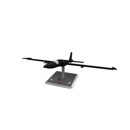 Black cat U-2
